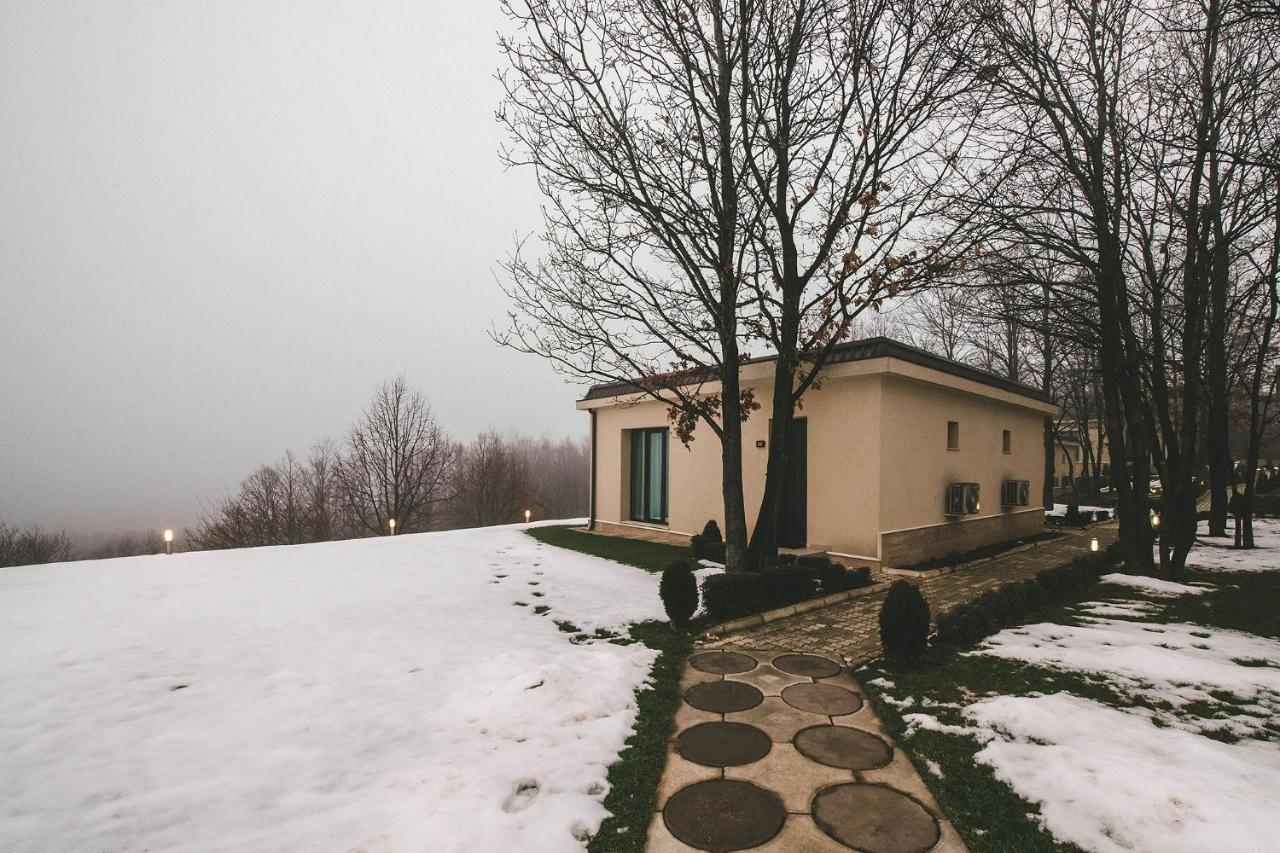 Hotel Villa Ekaterina Vakarel エクステリア 写真
